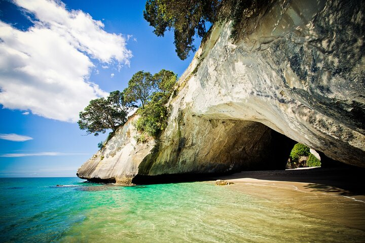 Cathedral Cove & Hot Water Beach Small-Group Tour with Lunch - Photo 1 of 25